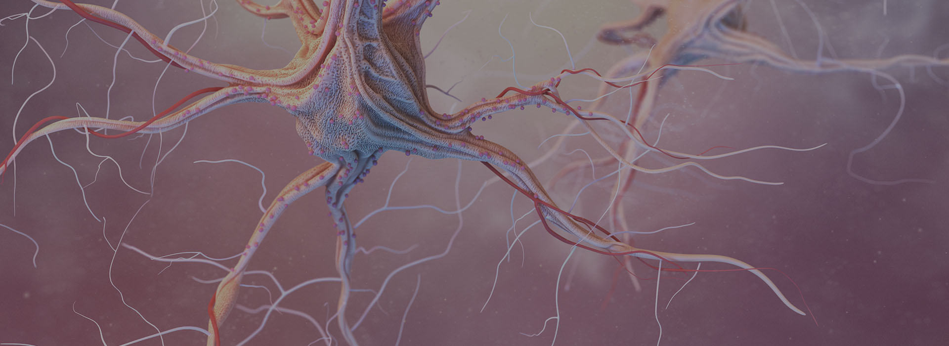 BODYTALK
